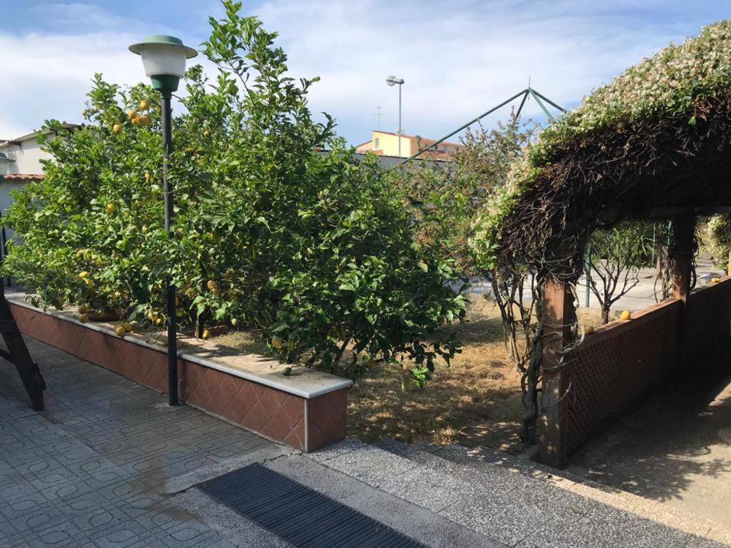 Mary Rose Acomodação com café da manhã Castel Volturno Exterior foto